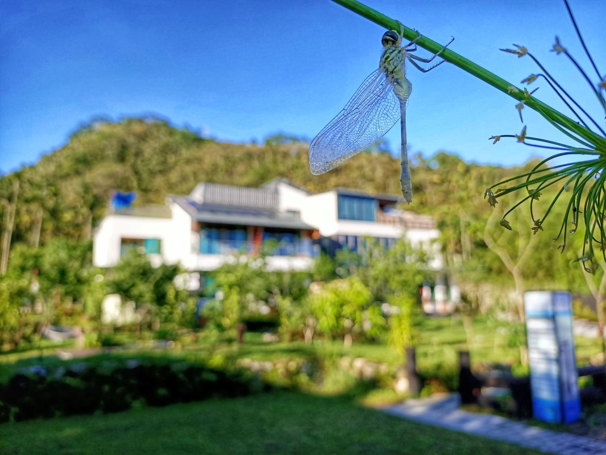 Roaming Cloud Sun Moon Lake B&B 유치 외부 사진